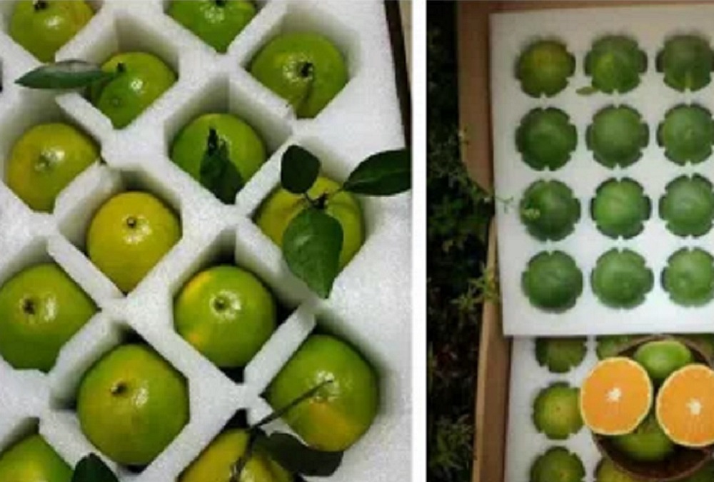 廠家直銷(xiāo)各種EPE珍珠棉泡沫、產(chǎn)品包裝泡沫、水果包裝泡沫等包裝盒內(nèi)襯